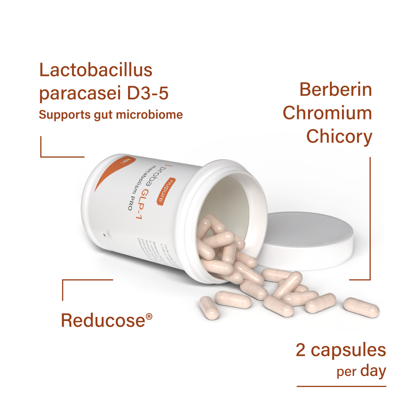 Proba GLP-1 Metabolism PRO